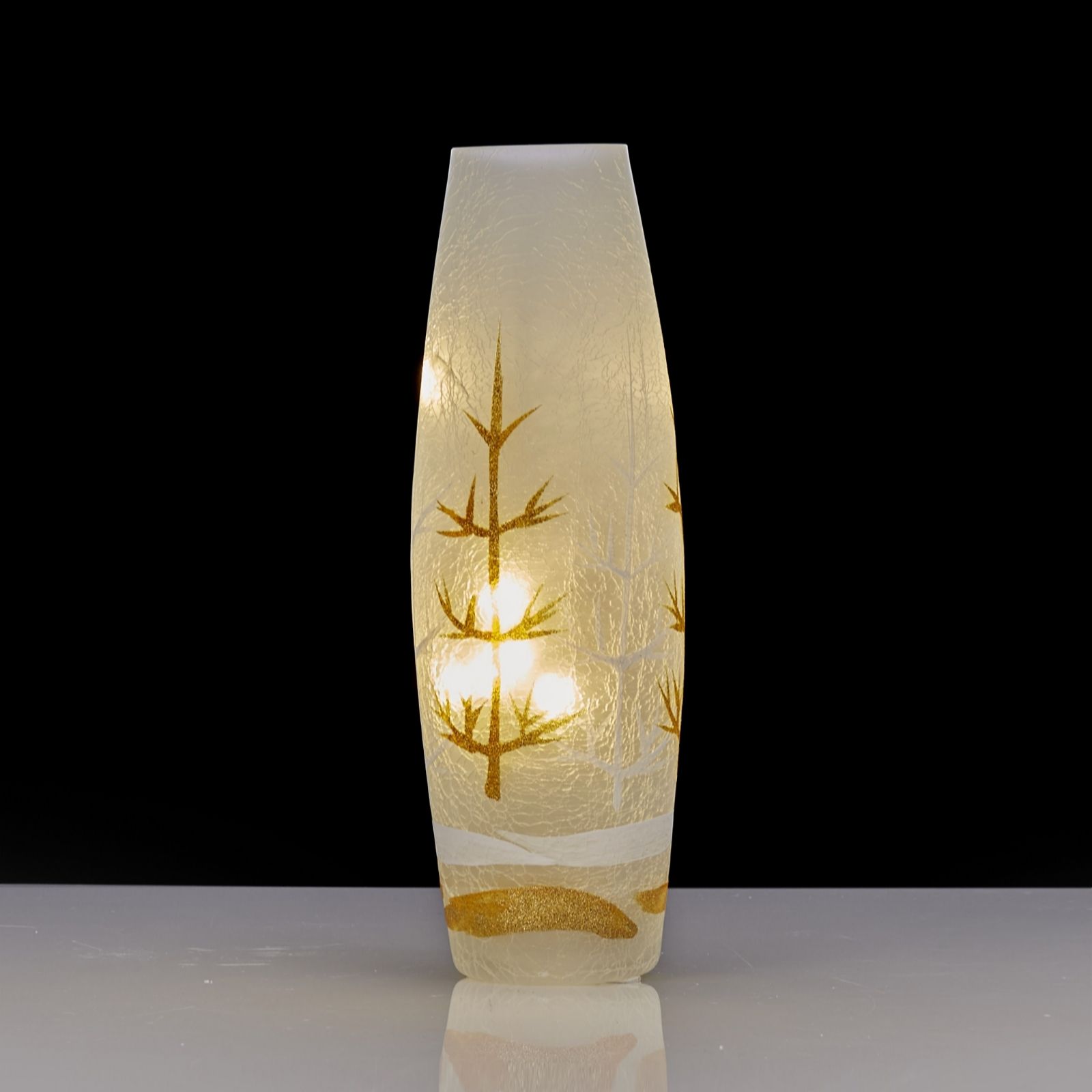 Home Reflections Festive Frosted Glass Vase with LED String Lights - 704759 QVCUK.com